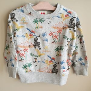 AO76 sweat garçon gris chiné fantaisie jungle