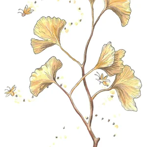 Carte de souhaits - Gingko little stars