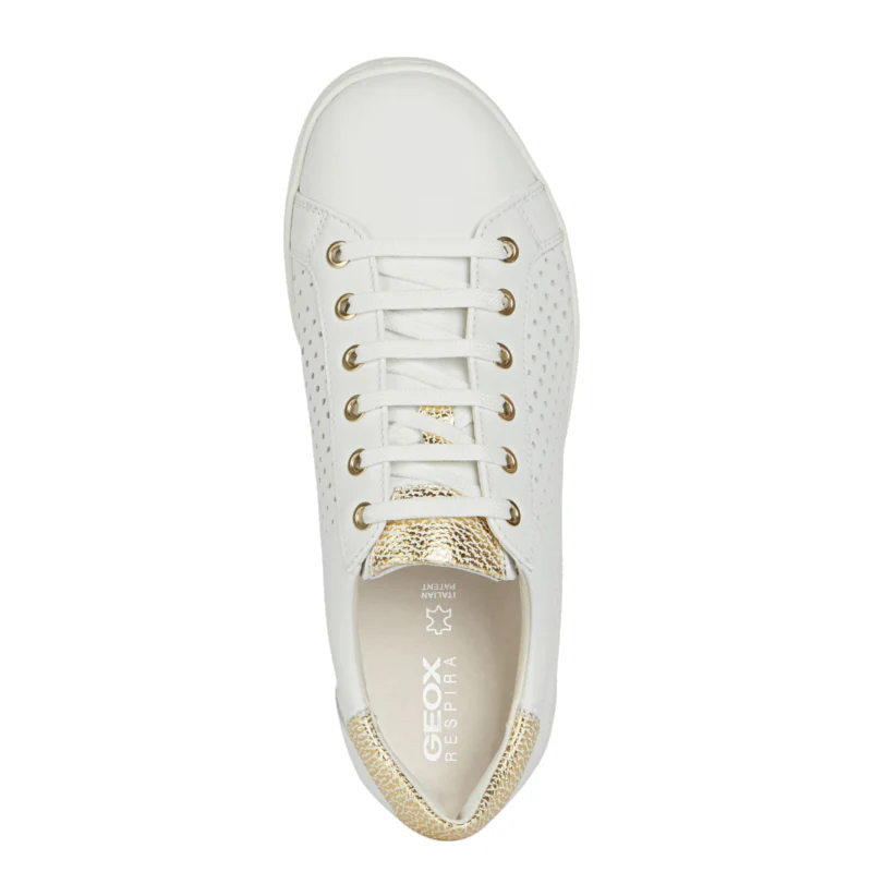 Baskets Jaysen Geox Femme – Image 6