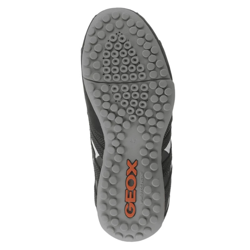 Baskets basses Respiration Sport Serpent Geox Homme – Image 4