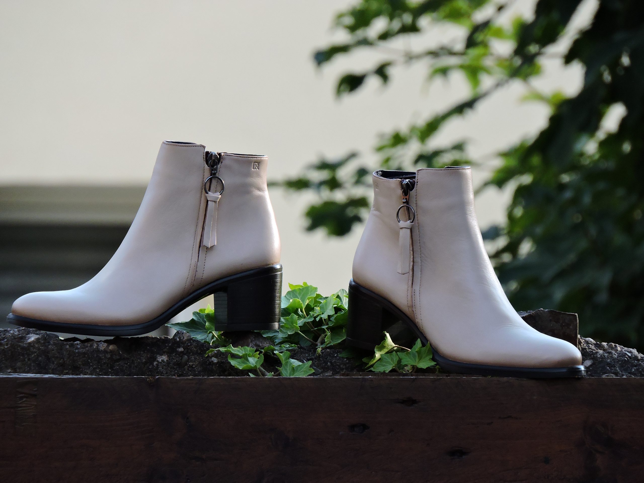 DORKING (8606) Couleur : Crème