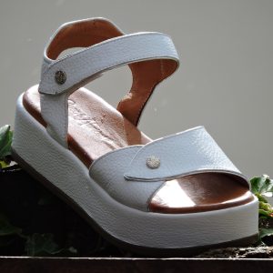 COCO ABRICOT (Mizerieux) Couleur : blanc