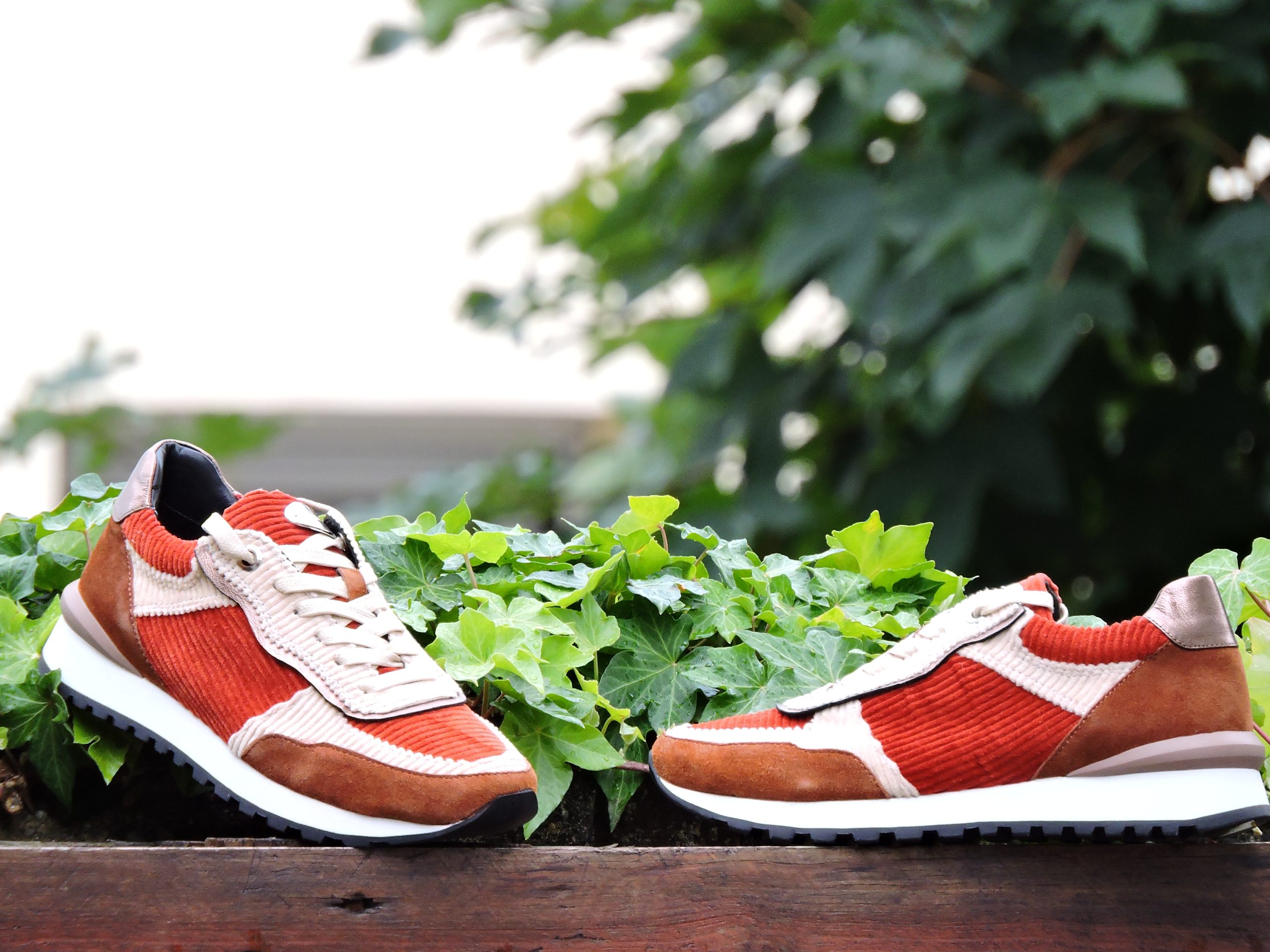 ADIGE (Yuko) Couleur : Brique