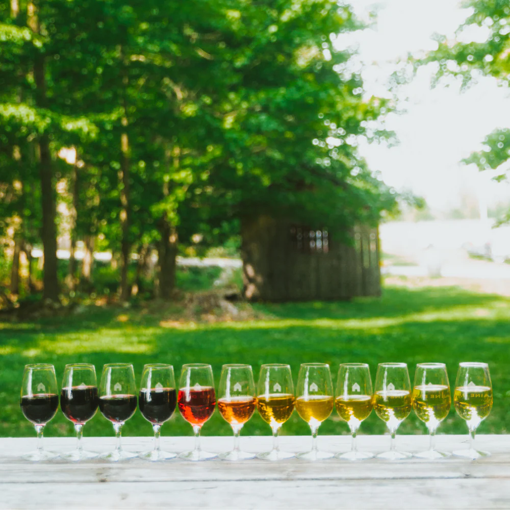 Dégustation de vins pour 2 personnes - Domaine du Ridge – Image 4
