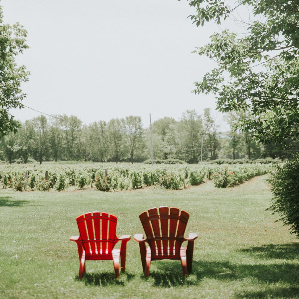 Dégustation de vins pour 2 personnes - Domaine du Ridge
