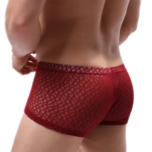 Boxer en Dentelle pour Homme – Sexy, Transparent et Respirant avec Poche U