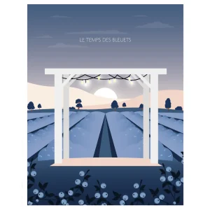 Affiche - Le temps des bleuets