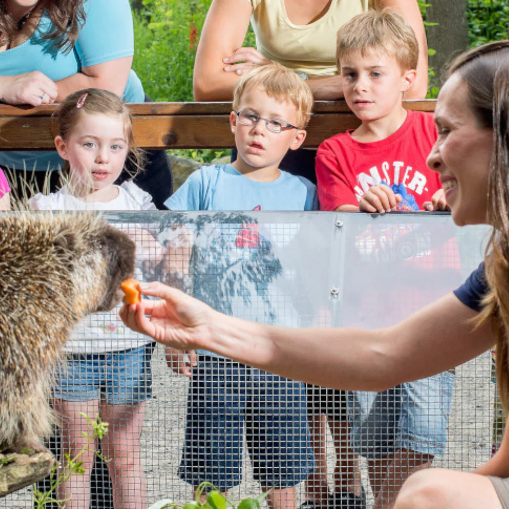 Visite du zoo pour 2 personnes - Zoo Ecomuseum – Image 2
